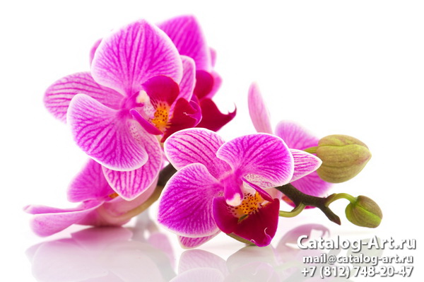 Натяжные потолки с фотопечатью - Розовые орхидеи 70